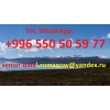Travel in Kyrgyzstan,  tourism,  excursions,  guide,  hiking in mountains,  driver